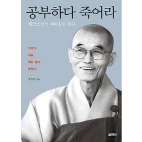 공부하다 죽어라:혜암스님의 벼락같은 화두, 열림원, 정찬주 저/유동영 사진