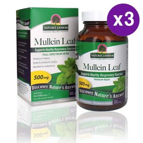 네이처스 앤써 뮬린 뮤레인 추출물 500mg Natue's Answe Mullein Leaf Capsules, 3개, 90정