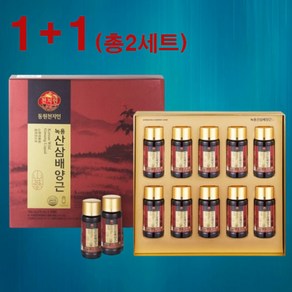 (1+1 이벤트행사) 동원 천지인 녹용 산삼배양근 75ml x 10병+10병 (총2박스 쇼핑백포함), 20개