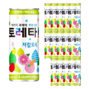 토레타 이온음료, 15개, 240ml