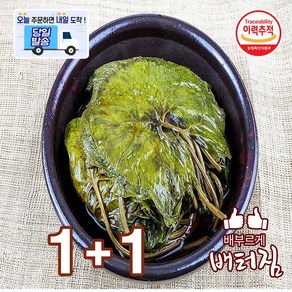 (당일출돼지) 연변 절임곰취 곰취 산나물, 500g, 2개