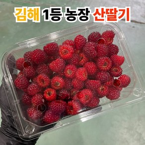[김해1등농장] 프리미엄 산딸기 고당도 생과 특품, 1세트, 1kg (특품)