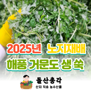 [돌산총각] 국산 노지재배 해풍 맞고 자란 거문도 쑥, 해풍맞은 생쑥 1kg, 1개