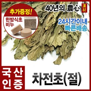 자애인 국산 차전초 600g 질경이차 말린차전초 질경이 차