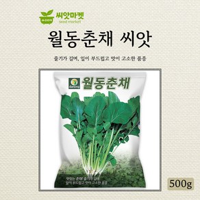 다농 월동춘채 씨앗 500g, 1개