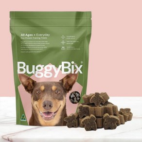 버기빅스 강아지 저알러지 간식  곤충단백질 알러지 눈물자국 개선 프리미엄간식, 1팩, 170g, 스트레스완화(Calming)