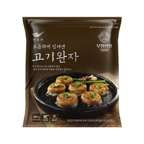 사옹원 부침명장 고기완자 480g, 6개