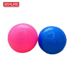 [동화스포츠] 엠디버디 마사지 돌기 짐볼 55cm 65cm 핑크/블루, 핑크