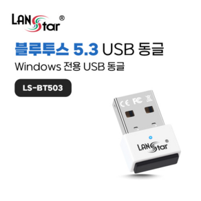 랜스타 윈도우 전용 멀티페어링 블루투스 USB 동글, LS-BT503, 화이트, 1개