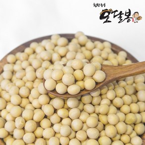 힘찬농부 국산 백태 대원콩 메주콩 대두콩, 1kg, 1개