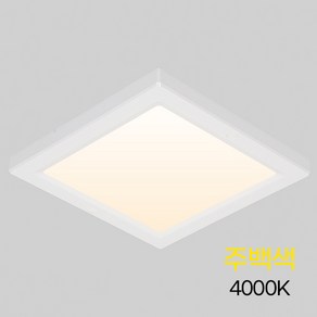 비츠온 LED 엣지 사각 직부등 8인치 20W, 주백색(중간빛)