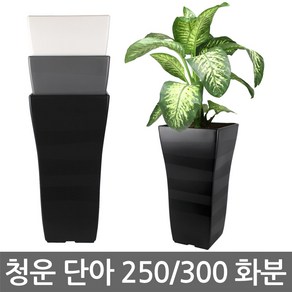 청운 단아 250/300 사각화분-화이트/그레이/블랙, 01. 청운 단아250 사각화분, 블랙, 1개