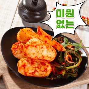 [올바른팜] 미원없는 100%국산 총각김치 알타리김치, 1개, 2kg