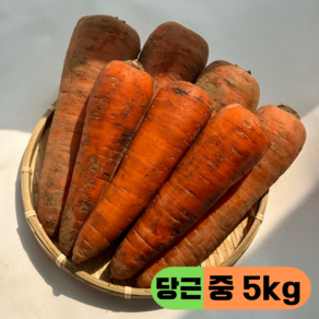 만근농장 국내산 햇당근 흙당근 주스용 쥬스용 못난이, 1개, 5kg(중)