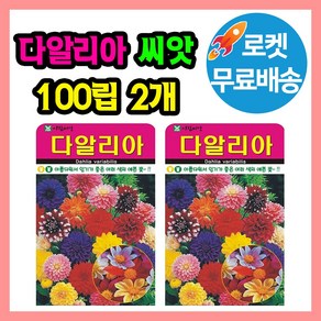 다알리아 꽃 씨앗 (합 200립) 꽃씨 종자, 2개