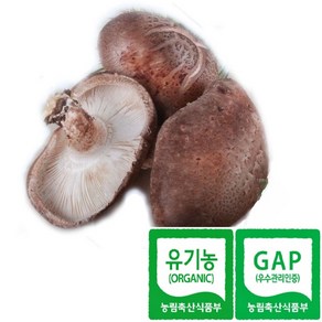 한그루 유기농/GAP 생표고버섯(꼬마/파지) 1kg당 5500원, 1박스, 1kg