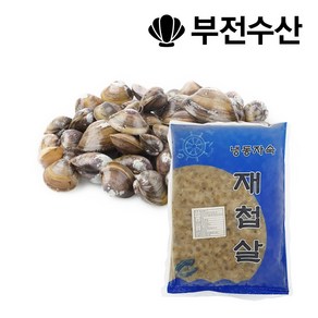 부전수산 냉동 신선한 재첩살 500g 자숙 재첩 재첩국 재첩비빔밥 재첩무침 재첩전 재첩해장국, 1개