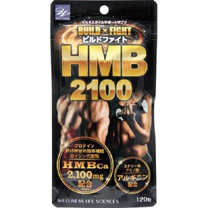 WELLNESS LIFE SCIENCES 웰니스 라이프 사이언스 HMB2100 빌드 파이트 120정 HMB칼슘 2100mg+알기닌 [헬스 트레이닝 단백질 보충제], 1개