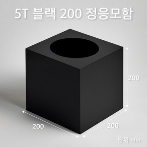 조이사인 정사각 응모함 200x200 / 두께5mm 투표함 모금함 아크릴상자 매장/진열용품, 정응모함 200*200/5T 블랙 [J2005EB]