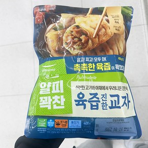 풀무원 얄피꽉찬 육즙 진한 교자 400g 아이스박스포장, 2개