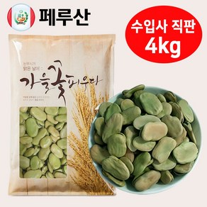 페루 자이언트 파바빈 콩 원물 항공직수 페루산 자이언트 파바빈콩, 1개, 4kg