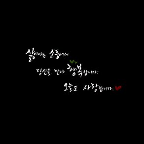 단비디자인 스티커 캘리_오늘도 사랑합니다 LU-S32, 화이트