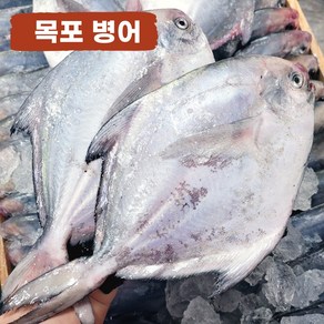 목포 맛있는 국산 병어 당일조업 산지직송, 1개, 1kg(5~7미/크기혼합), 구이및조림용