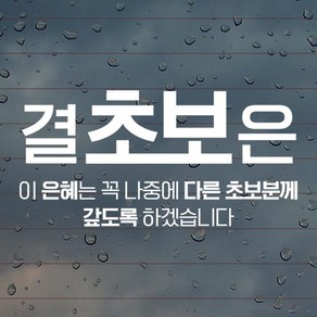 윈스턴 결초보은 차량스티커 8종 자동차 극한 운전 시트컷팅, 8.결초보은03(FV003), 화이트, 1개