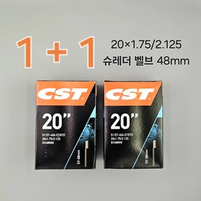 CST 20인치(406) 미니벨로 전기자전거 E-BIKE 튜브 슈레더 벨브 48mm, 2개