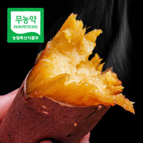 [무농약 인증] 해남 햇 꿀고구마, 1박스, 10kg(특상/개당100-300g)