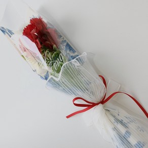 한송이 카네이션 어버이날 스승의날 어린이집 유치원, 1개, 레드
