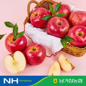 [남거창농협] 당도선별 과즙팡팡 거창 사과 꿀 사과 2.5kg 소과 12-15과 내외