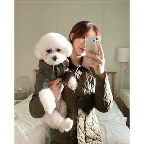 강아지옷 퀼팅누빔패딩 2XL, 네이비, 1개