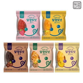 [달광상회]오븐에 구운 달광도넛 5종 총10개(초딸치아바), 맛별세트10개, 10개, 45g