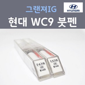 순정품 현대모비스 그랜져IG WC9 (2개세트) 붓펜 자동차 차량용 카페인트, 2개, 8ml