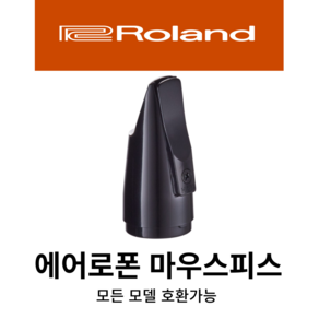 롤랜드 에어로폰 마우스피스 AE05 AE10 AE20 AE30 Roland, AE10용 정품피스(AE-10 MPH), 1개