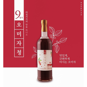 문경특산물 문경 9월의 오미자청 오미자 원액 엑기스 에이드 진액 즙, 1박스, 1개입, 500ml