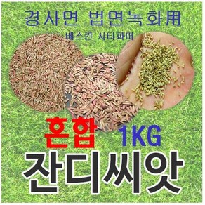 [경사면용/무료배송] 혼합양잔디씨앗 1kg 약10평/무료배송/발아율 80%이상/잔디씨 잔디씨앗 양잔디씨 양잔디씨앗 법면녹화 사방공사