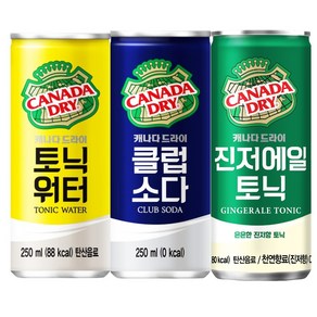 코카콜라 캐나다 드라이 250ml 3종 진저에일 클럽소다 토닉워터 각10개 / 총30개