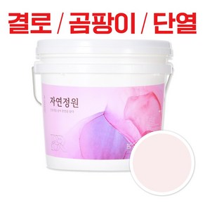 바르는 천연 단열 페인트 자연정원 항균 방수 곰팡이제거 결로방지, 1개, 18kg, BR041 베이비 핑크