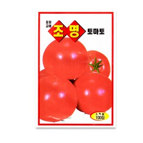 모칸도 동원 조명토마토 100립, 1개