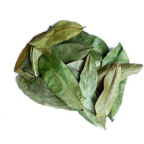 Died Leaves Oganic Sousop Guyabano Gaviola Leaf 말린 잎 유기농 가시여지 가이아바노 그라비올라 잎 허브 건강 차 1.2 온, 1개, 34g