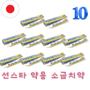 선스타 약용 소금치약 170g 치은염 치주염예방 / 비타민 E함유 10개세트 일본직배송