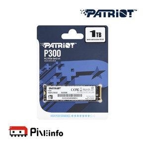 패트리어트 P300 1TB M.2 NVMe 3D TLC 파인인포, PATRIOT P300 M.2 NVMe (1TB)