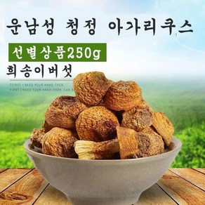 운남 야생 아가리쿠스 희송이 버섯 250g 고급식재료 건조 고산지대 중국 약초 약재 EMS특송