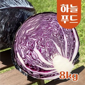 (8kg/Box) 수입 적채 적양배추 식자재 빨간양배추, 적양배추 8kg, 1개