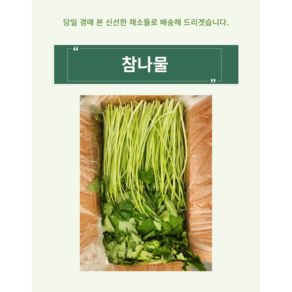 향긋한 참나물 특품 국내산 1kg, 1개, 참나물 4kg, 4kg