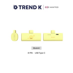 스키즈 보조배터리 [dominATE SEOUL] SKZOO POWER BANK (미개봉), 뽁아리 Ve, C타입