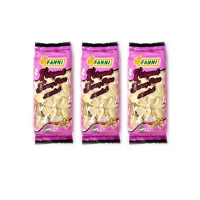 판니 바왕 푸티 멘타 Fanni Bawang Putih Mentah 튀겨먹는 마늘칩, 3개, 250g