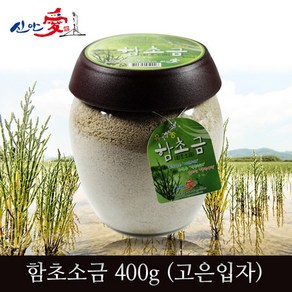 신안애 자연바라기 함초소금 (고운입자), 400g, 1개